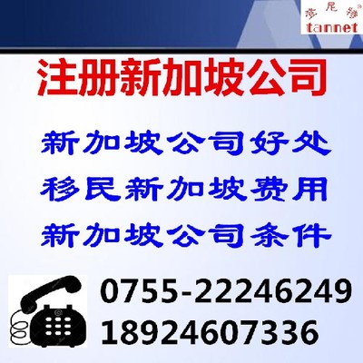 深圳代辦注冊(cè)新加坡公司